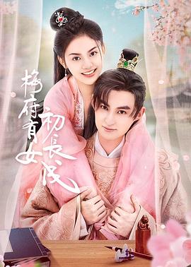 石家庄seo优化外包